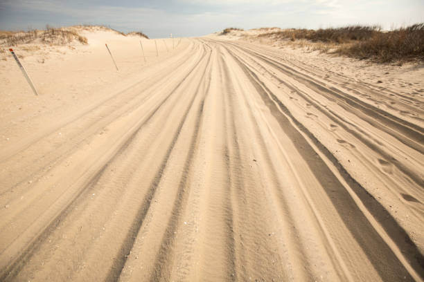 Off-road vehicle trail in the sand on Assateague Island, Maryland. Trail for off-road vehicles in the sand on the beach of Assateague Island National Seashore in Berlin, Maryland, USA. eastern shore sand sand dune beach stock pictures, royalty-free photos & images