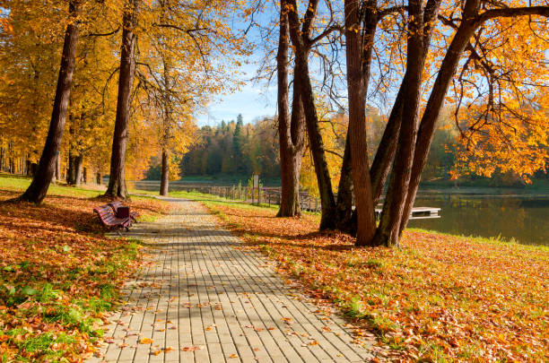 istock Sunny autumn landscape 666210712