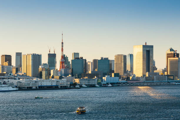istock Tokyo, Japan skyline with the Tokyo Tower 666216718