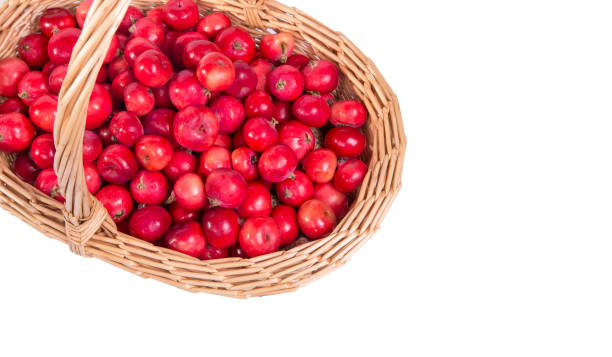 istock Still-life with fresh small red apples, on white background 666223482
