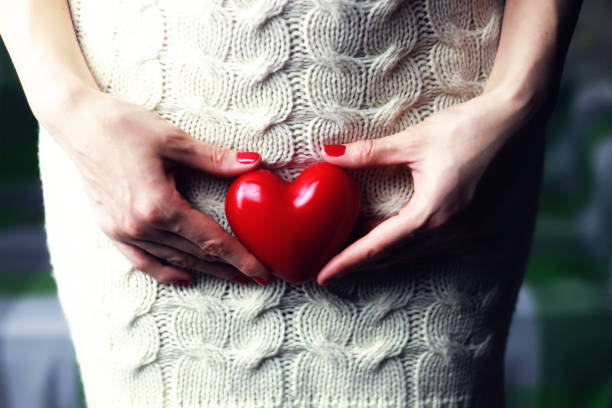 woman holding heart - abdomen women loving human hand imagens e fotografias de stock