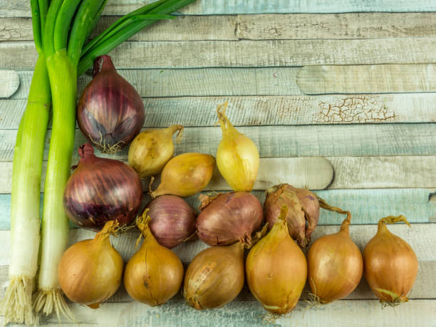 istock Various types of onions on a rustic wooden table 666226578