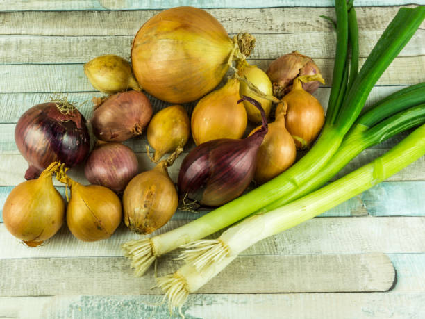 istock Various types of onions on a rustic wooden table 666226632