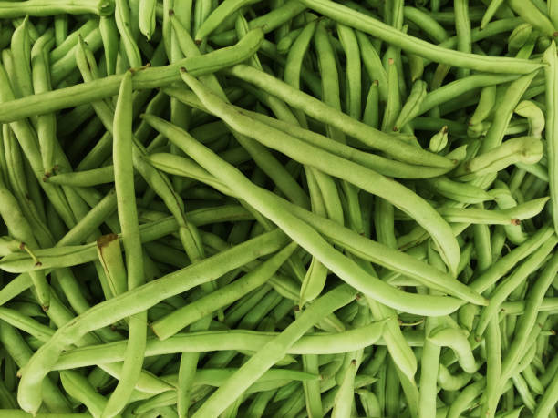 istock The wholesale long bean or green bean Wallpaper Background 666229550
