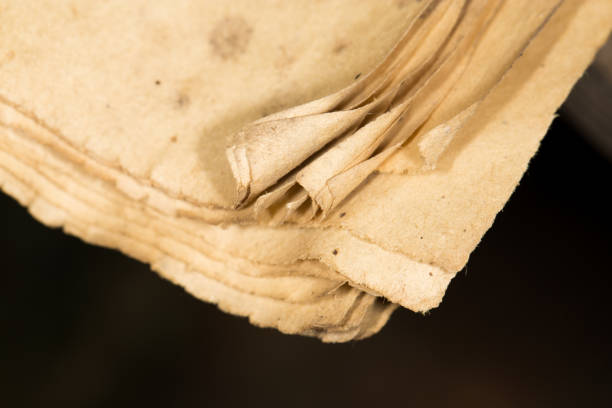istock page of the old book. close-up 666238804