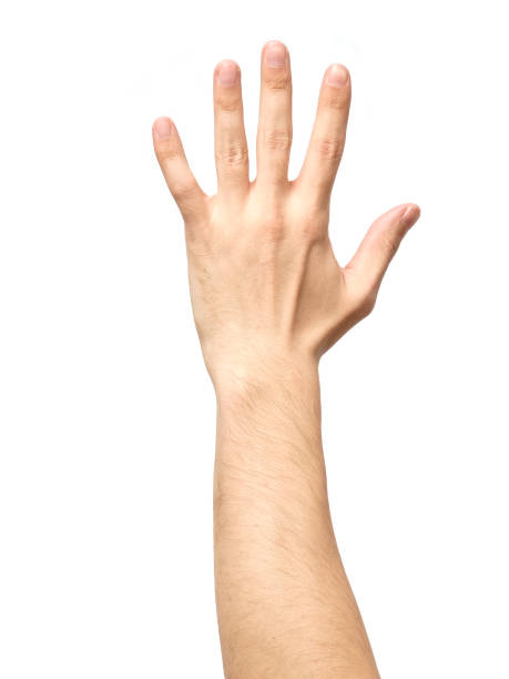 istock Man hand showing gesture isolated on white background 666245394
