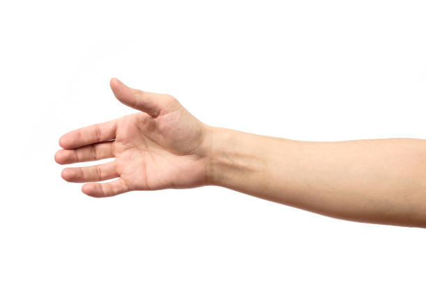 istock Man stretching hand to handshake isolated on a white background 666245406