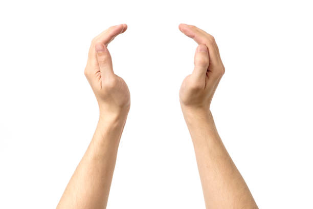 istock Man hand's measuring invisible item. Isolated on white 666245438