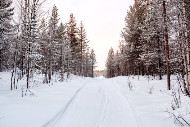 istock Beautiful winter landscape with snow covered trees 666253134