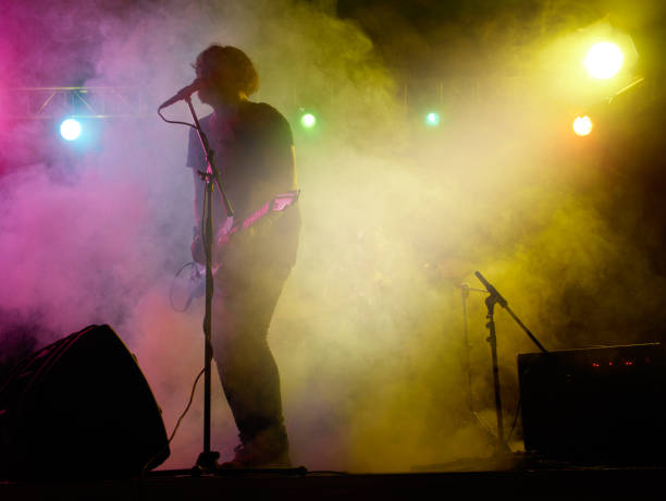 istock Silhouette of guitar player on stage. 666258838