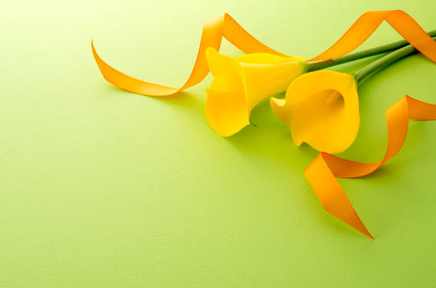istock Yellow color and ribbon 666259266