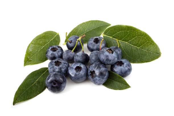 istock Cluster of blueberries on leaves 666262394