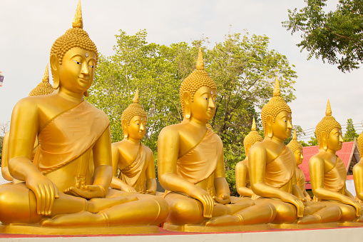 PHICHIT,THAILAND -APRIL 1,2017 : Row of Golden Buddha statue at Wat Wang Ta Ku, Phichit Province, Thailand.