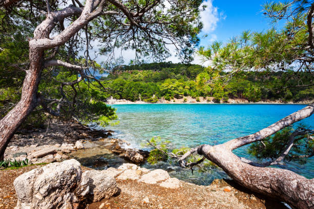 istock Beach and ruins at Phaselis Turkey 666265526
