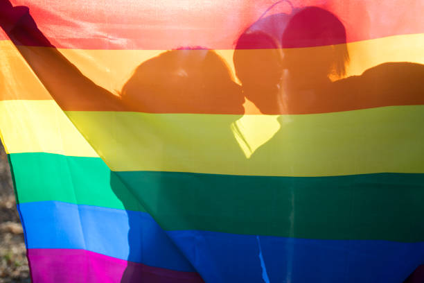 istock Happy lesbian couple holding rainbow flag 666266374