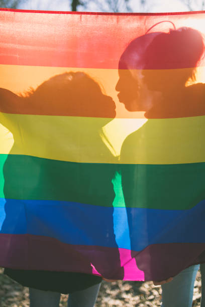 istock Happy lesbian couple holding rainbow flag 666271932