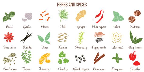 Big set of simple flat culinary herbs and spices . Silhouettes Big vector set of popular fresh cooking herbs and spices silhouettes. Basil, coriander, cloves, ginger, mint, bay leaves, nutmeg, rosemary, sage, thyme, parsley oregano dill Culinary mix collection poppy seed stock illustrations