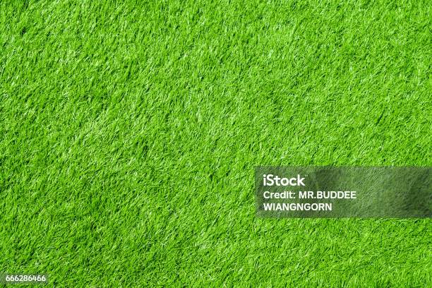 Artificial Grass Stock Photo - Download Image Now - Abstract, Agricultural Field, Agriculture