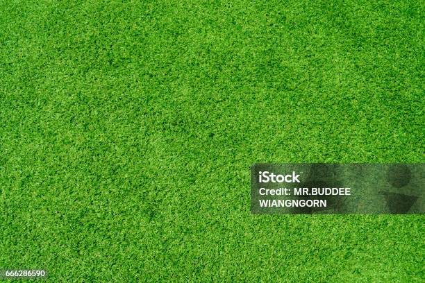 Artificial Grass Stock Photo - Download Image Now - Grass, Lawn, Artificial