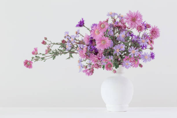 istock flowers  in ceramic vases on white background 666286672