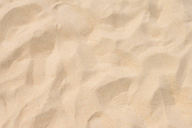 istock Fine beach sand in the summer sun 666289446