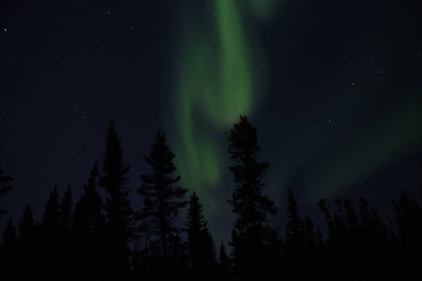 istock Northern lights above dark Canadian forest 666289984