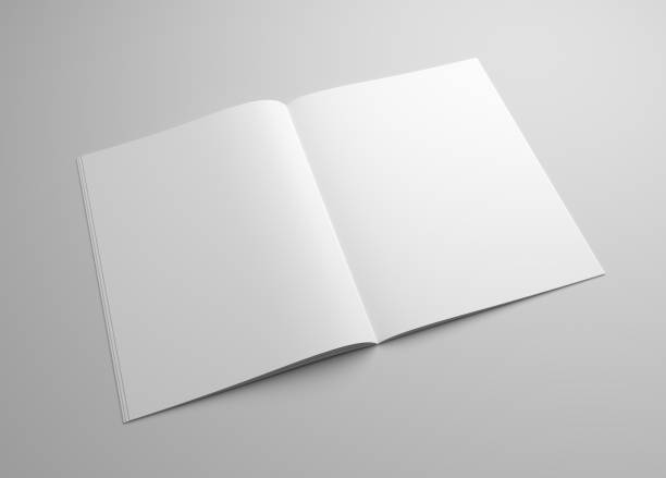 istock Blank brochure magazine 3D illustration on grey for your design. 666305284
