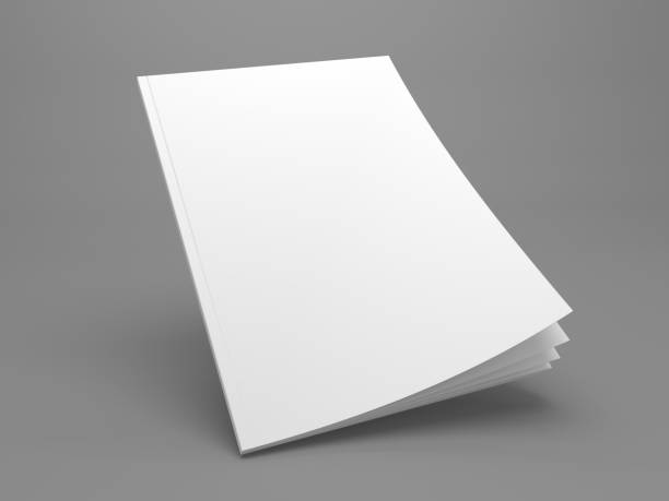istock Blank brochure or magazine 3D illustration on grey for your design. 666305418