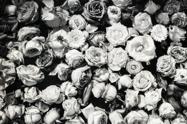istock Vintage flowers in Zurich 666326606