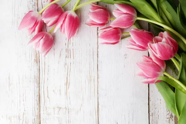Photo of beautiful tulips on wooden background. Top view