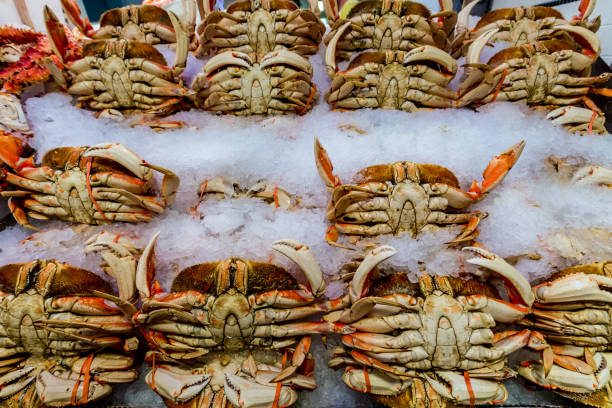 istock Fresh Crab Being Sold at the Open Public Market 666329830