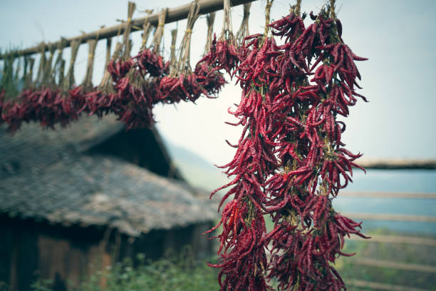 Chili and traditional Chinese architecture