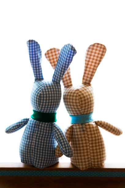 istock Lover rabbit dolls sitting on wooden deck 666336936