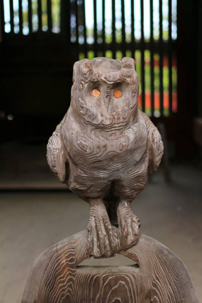 istock art of wood owl 666337576