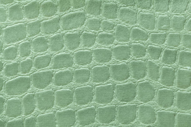 istock Green background from soft upholstery textile material, closeup. Fabric with pattern 666349762