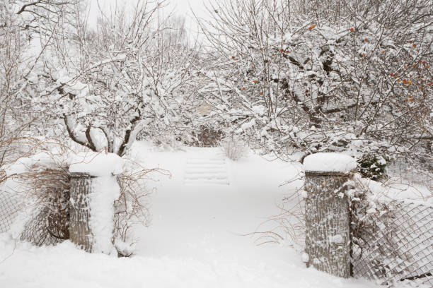 istock Entrance to a home behind apple trees covered with snow 666350048