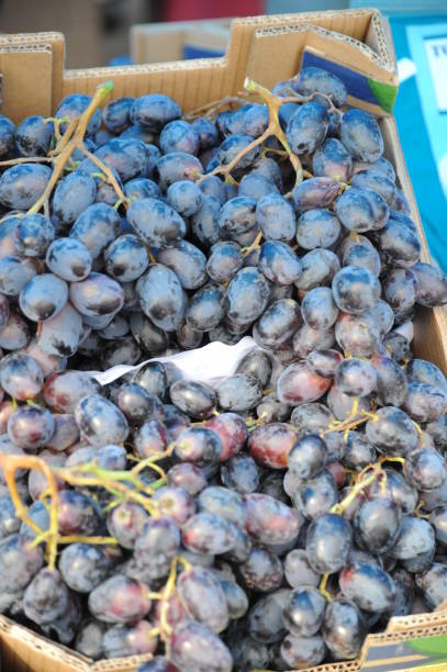 istock Weekly market in Spain - grapes 666356266