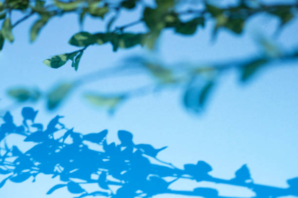Springtime, Summer, sunlight