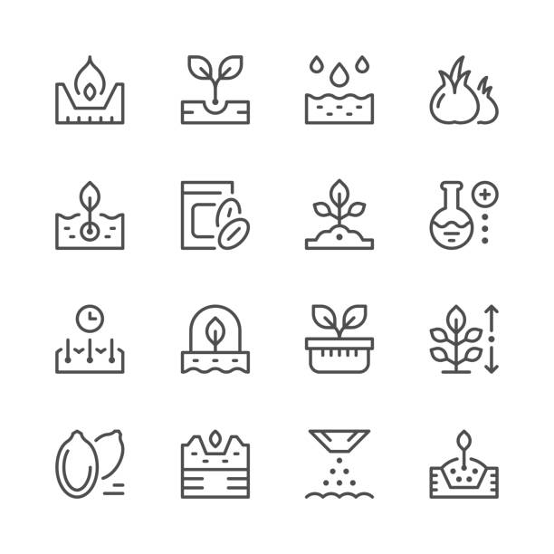 Set line icons of seed and seedling Set line icons of seed and seedling isolated on white. Vector illustration fertilizer icon stock illustrations