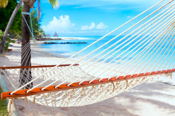 istock hammock on tropical beach with palm leaf thatch roofing  umbrellas and palm trees in the background 666360928