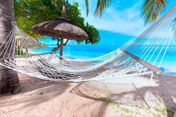 istock hammock on tropical beach with palm leaf thatch roofing  umbrellas and palm trees in the background 666361182