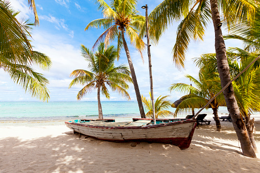 Old wooden fishing boat on a tropical paradise island with coconut palm trees  in the background