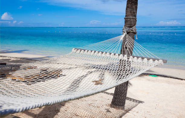 istock hammock on tropical beach with palm leaf thatch roofing  umbrellas and palm trees in the background 666361296