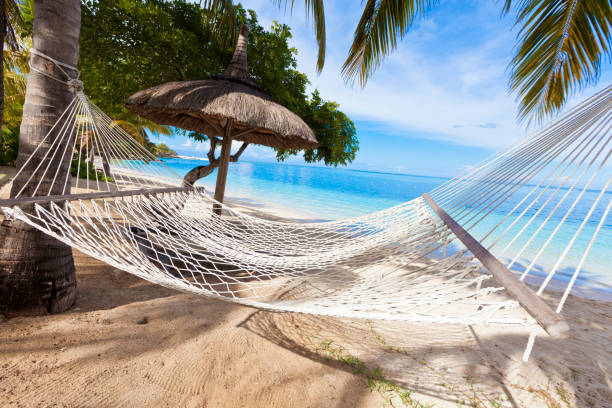 istock hammock on tropical beach with palm leaf thatch roofing  umbrellas and palm trees in the background 666361316