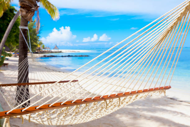 istock hammock on tropical beach with palm leaf thatch roofing  umbrellas and palm trees in the background 666361340