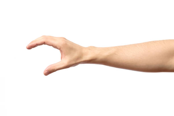 istock Man hand isolated on white background, hold, grab or catch 666362378