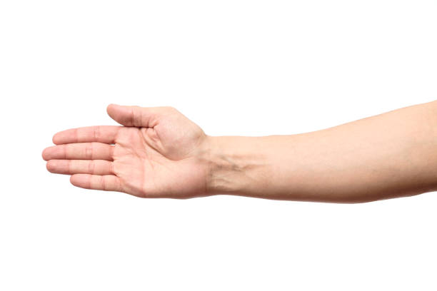 istock Man stretching hand to handshake isolated on a white background 666362380