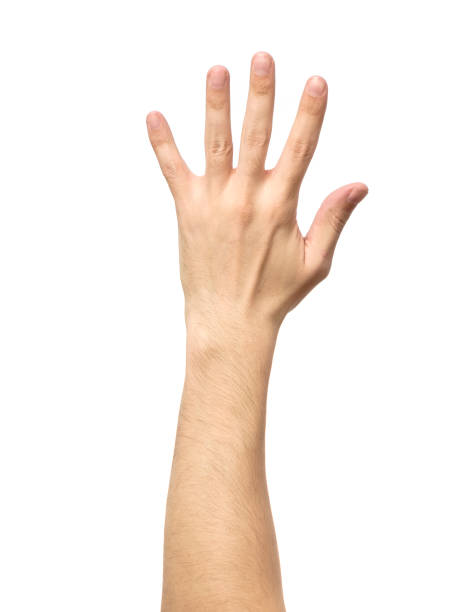 istock Counting hand sign isolated on white 666362434