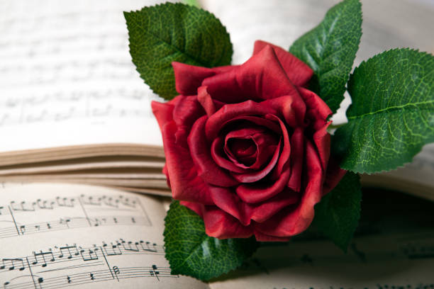 istock rose flower lies on the music book 666363106
