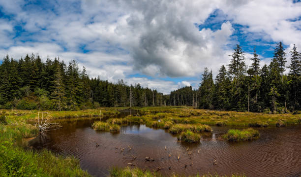 istock Lonely Inland Waterway Pacific Ocean 666364174